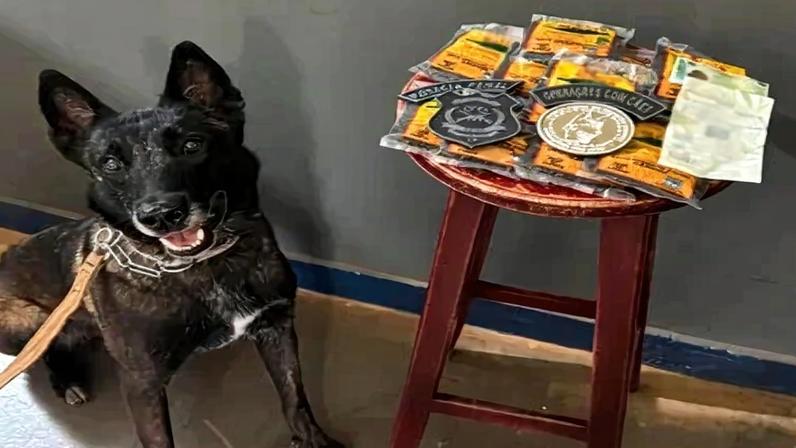 Drogas foram apreendidas durante horário de visita - (crédito: Seape/Divulgação)