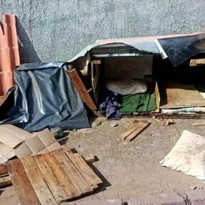 Polícia procura homem que destruiu abrigos de cães comunitários