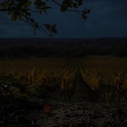 Beauséjour em Chinon confia liderança a Arnaud de Laforcade, ex-Cheval Blanc