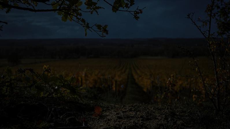 Beauséjour em Chinon confia liderança a Arnaud de Laforcade, ex-Cheval Blanc
