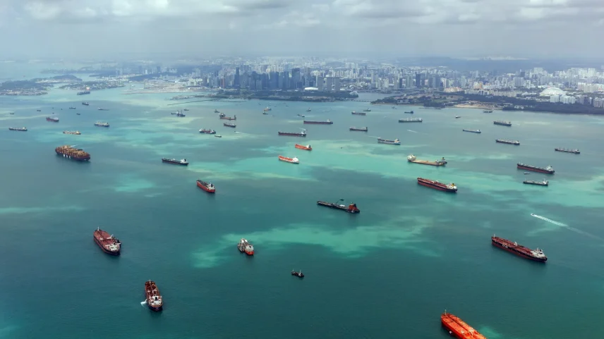 Container ships and bulk carriers off the shore of Singapore.