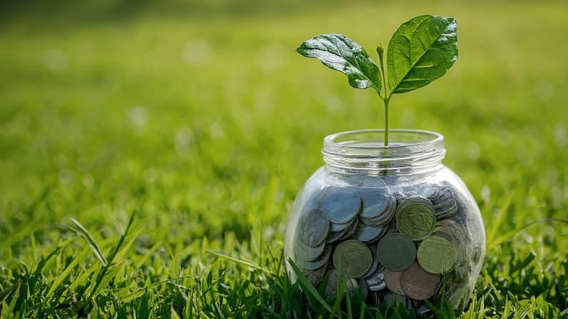 O Brasil desponta como um dos países com maior potencial para transformar a transição ecológica em uma oportunidade de desenvolvimento econômico, aponta o estudo