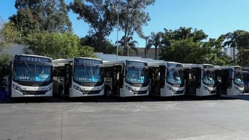 — Foto: Divulgação/Prefeitura de São Caetano do Sul