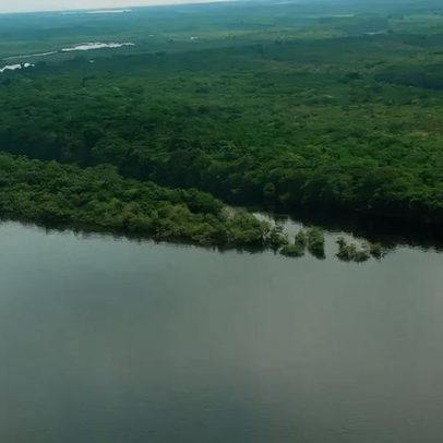 Amazônia recobra superfície de água após seca de dois anos, alerta MapBiomas