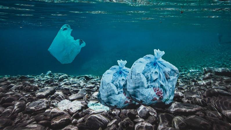 A principal contribuição do estudo é estabelecer um panorama inicial da contaminação por microplásticos e poluentes persistentes em uma região ainda pouco explorada do oceano profundo brasileiro – Foto: S M R/PixaHive/CC0