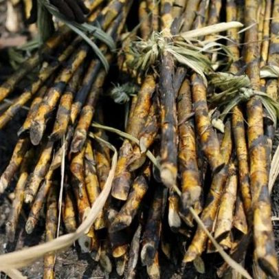 Clima quente prejudica safras na Ásia com El Niño ganhando força