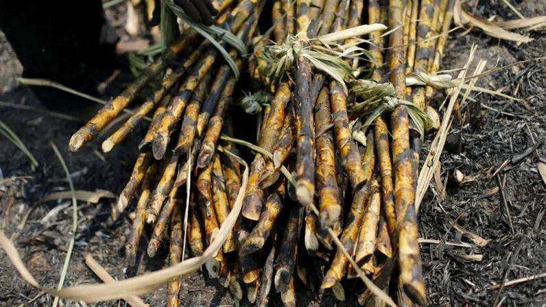 Os preços do arroz estão subindo, embora a Índia, que responde por 40% das exportações globais, esteja com amplos suprimentos após anos de colheitas quase recordes.