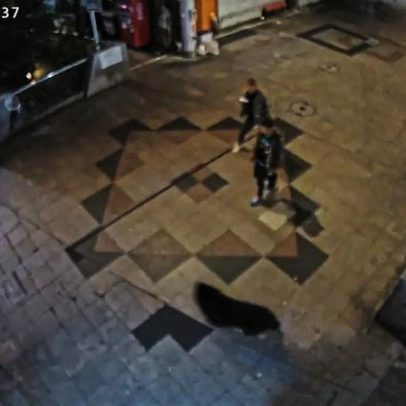 Urso negro selvagem é capturado no Japão após dias de caça