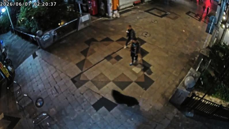 Imagem de câmera de segurança mostra urso selvagem passando correndo por transeuntes em uma área residencial em Utsunomiya, no Japão 7 de junho de 2026 Associação Promocional do Onion Street Mall/ Divulgação via REUTERS