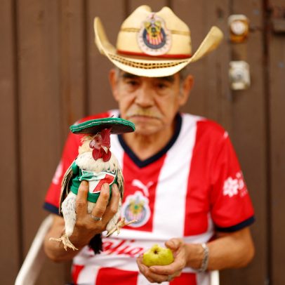Mascotes da Copa animais torcedores próximos ao estádio no México