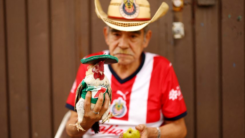 Torcedor mexicano segura uma galinha e uma pera do lado de fora do estádio antes da partida — Foto: REUTERS/Hannah Mckay