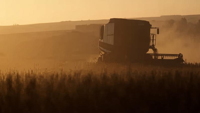 Colheita de soja no Rio Grande do Sul. — Foto: Reuters