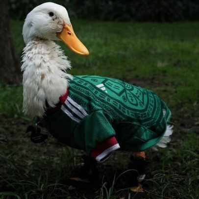 Pato símbolo da Copa no México encontra a presidenta Sheinbaum