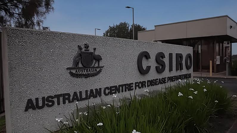 Austrália promete conter qualquer disseminação da gripe aviária H5N1