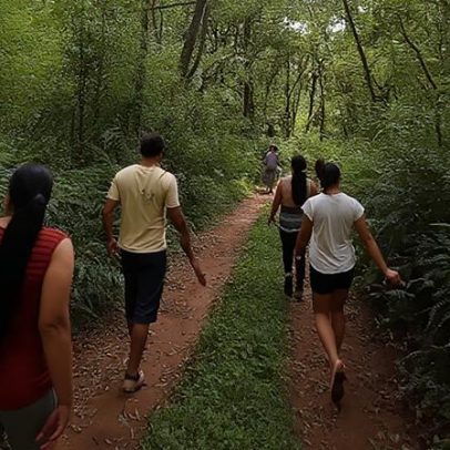 Sociobiodiversidade protege meio ambiente e comunidades em terras indígenas