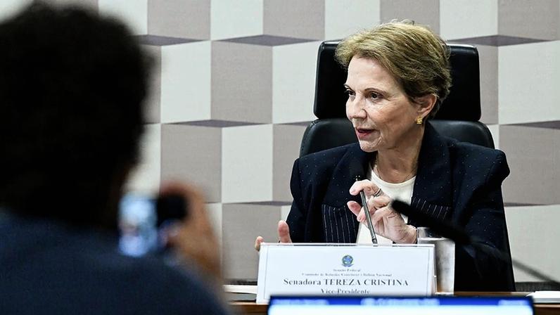 Mesa: vice-presidente da CRE, senadora Tereza Cristina (PP-MS).