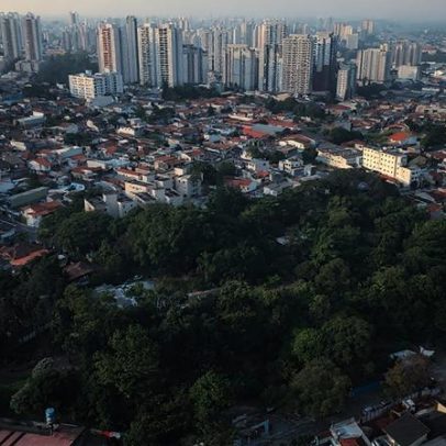 Gênero e CEP redefinem nossa relação mental com a natureza