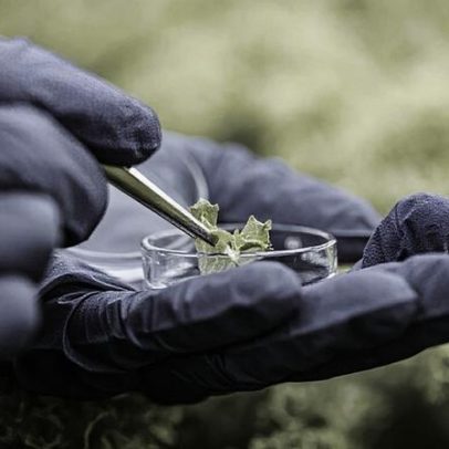 Curso gratuito mostra bioinsumos como aliados da agricultura sustentável