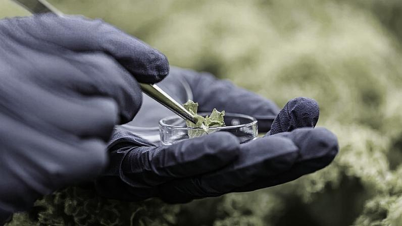 Curso aborda diferentes tipos de bioinsumos com foco na agricultura sustentável – Foto: Magnific Freepik