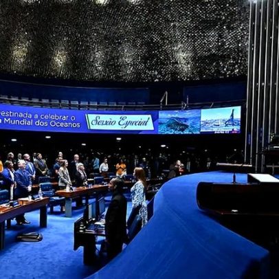 Especialistas pedem ações para conservar os oceanos em sessão