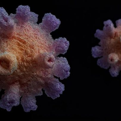 Proteínas do próprio corpo podem modificar resposta imune a fungo infeccioso
