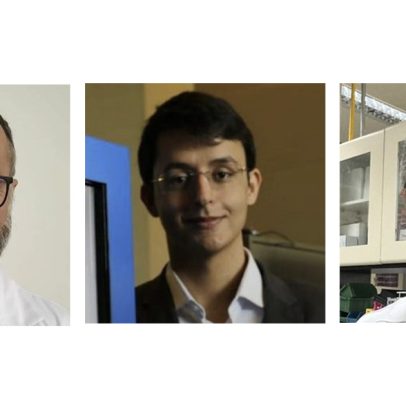 Cruzamento de dados cientométricos e Plataforma Lattes aponta ciência brasileira