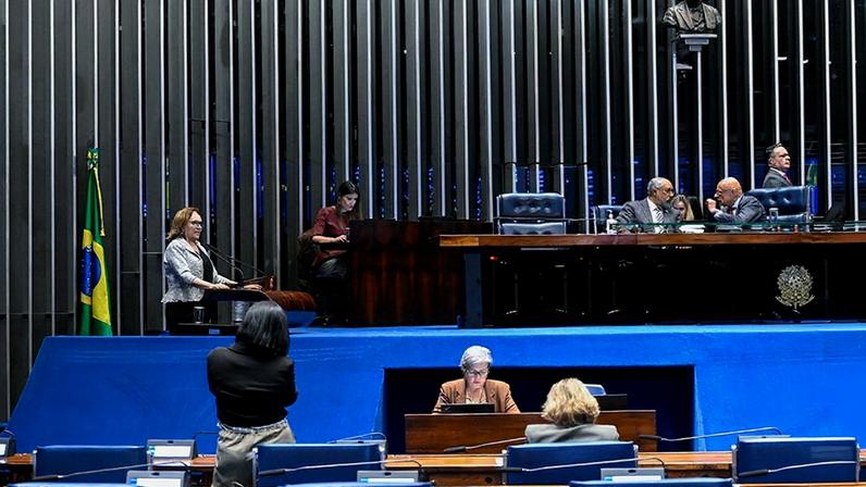 Mesa: senador Paulo Paim (PT-RS); senador Esperidião Amin (PP-SC).