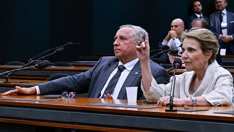 Bancada: senador Izalci Lucas (PL-DF); senadora Tereza Cristina (PP-MS), em pronunciamento.