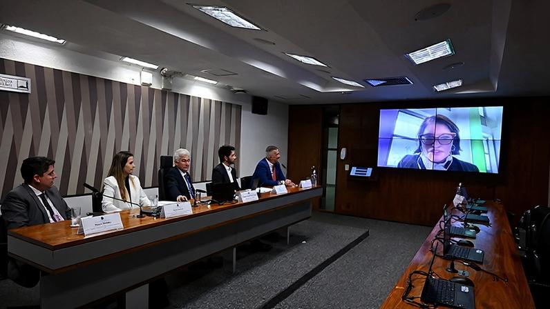 Via videoconferência: presidente da Associação Brasileira de Energia Eólica (ABEEólica), Elbia Aparecida Silva Gannoum.