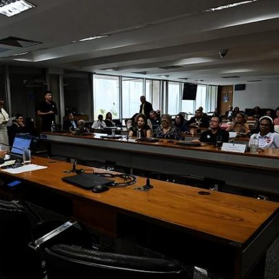 Feirantes do DF relatam medo de perder pontos de venda em audiência