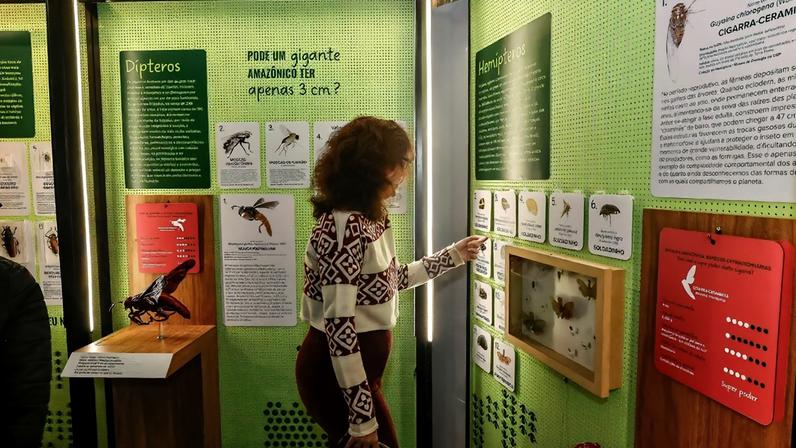 Mulher vista de lado tocando num painel de uma exposição que tem insetos e textos explicativos