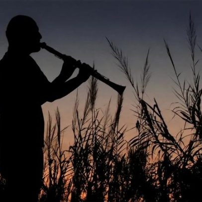 Cinema da USP participa de mostra de documentários musicais