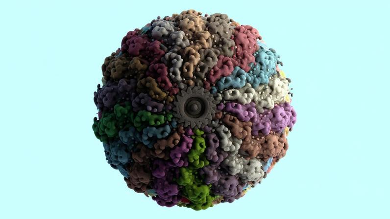 Visualizações top e side view da segmentação do mapa de densidade reconstruído a partir de dados de cryo-EM e colorido por monômeros