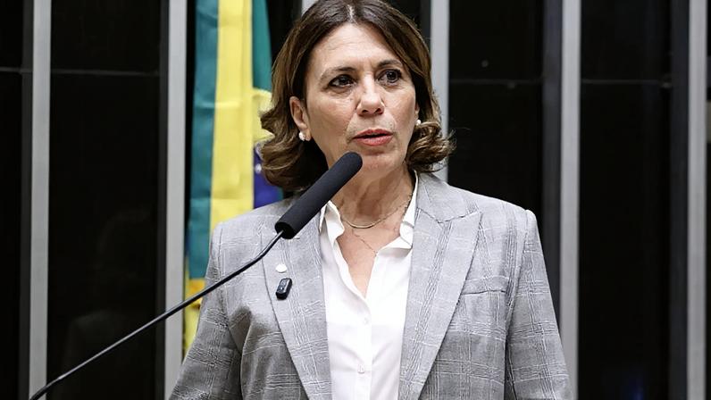 Deputada federal Rosana Valle