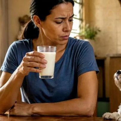 Cachorros podem tomar leite e queijo? Guia para tutores