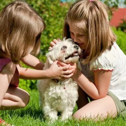 Crescer com cachorro pode favorecer a saúde mental de crianças e adolescentes