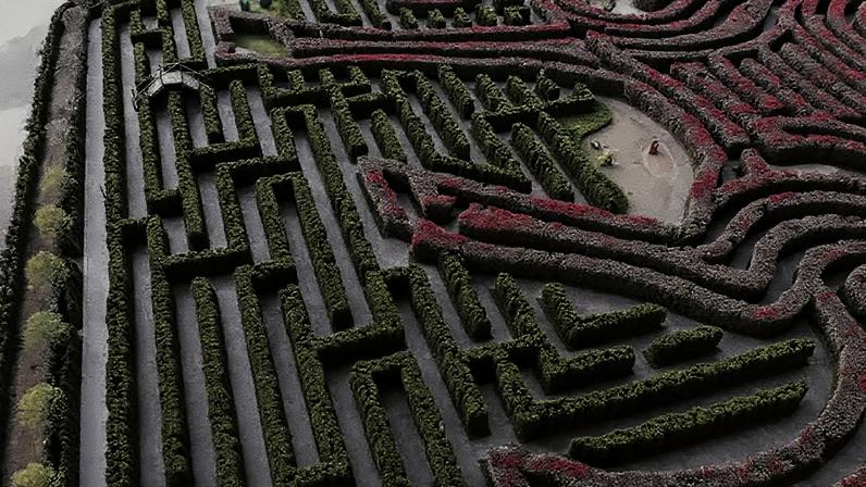 Dream Maze: o maior jardim-labirinto do mundo, enfrenta desafios