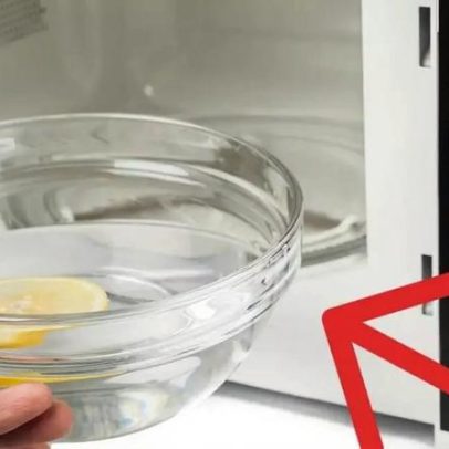 Especialistas apresentam método correto para limpar o interior do micro-ondas