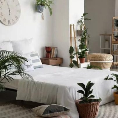 Dormir com plantas no quarto não faz mal, segundo a ciência