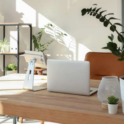 Plantas que sobrevivem à luz artificial ganham espaço no escritório