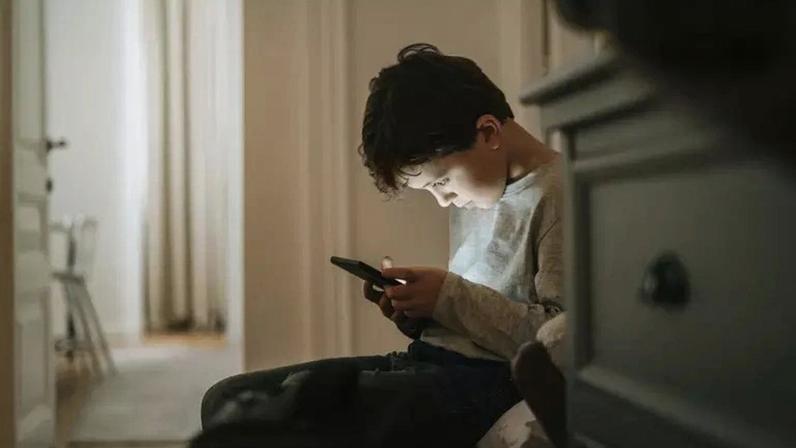 Modelo de negócios das redes sociais é estruturado para maximizar atenção, explica especialista