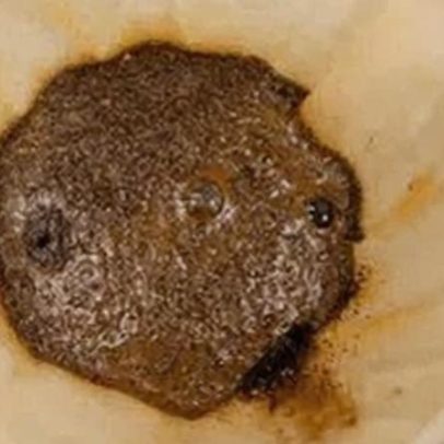 Borra de café desentope a pia? O que diz a ciência