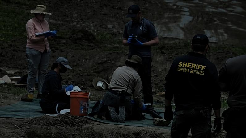 Autoridades da Califórnia encontram 117 cães mortos com fragmentos de bala em abrigo no-kill