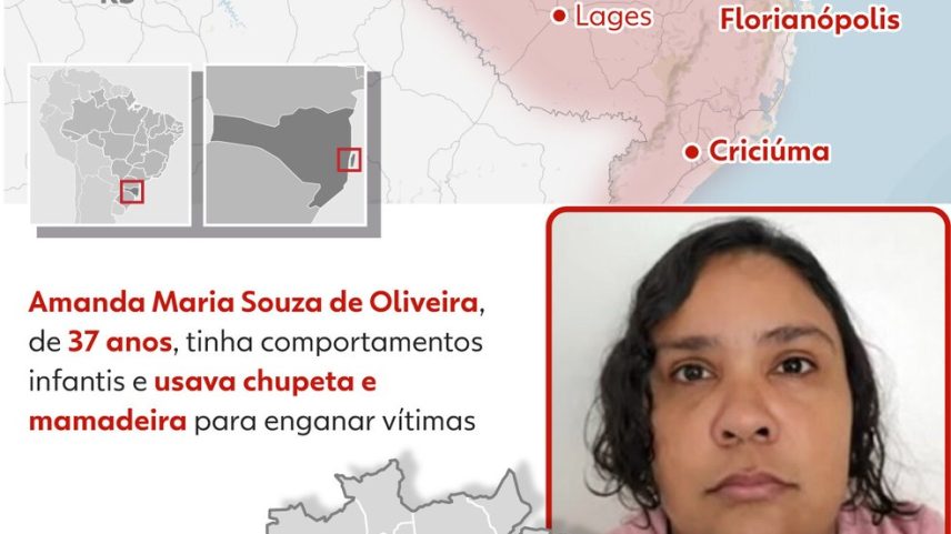 Infográfico - Falsa adolescente — Foto: Arte/g1