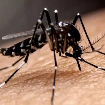 Butantan suspende vacina contra dengue; o que acontece com quem já foi vacinado