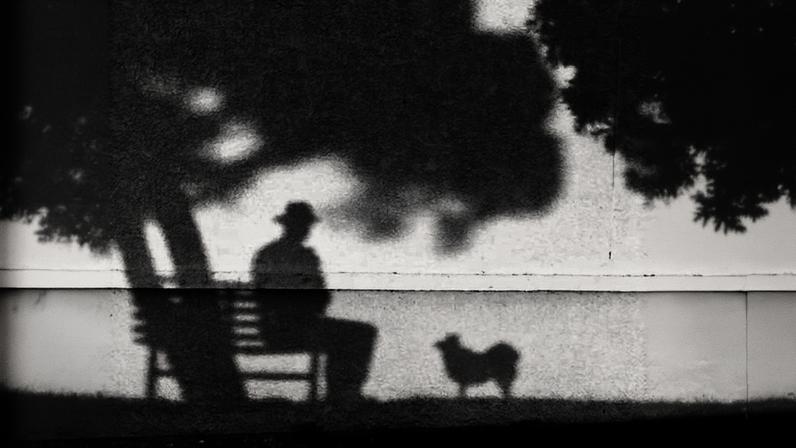 Foto de Tony Hertz lembra o amor pelo fiel companheiro