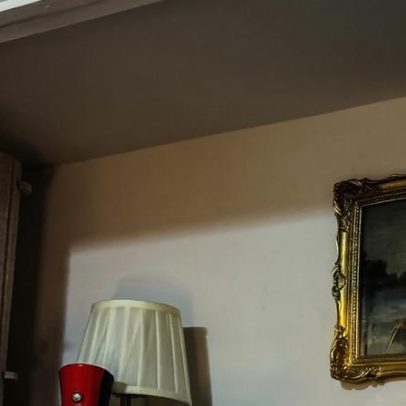 O boom dos espaços para pets: quarto para cães e banheiro para gatos