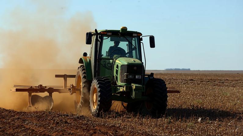 Mato Grosso e Bahia são responsáveis por 82% da produção nacional e se destacam pelo investimento em biotecnologia, gerenciamento do setor e novas técnicas de manejo.