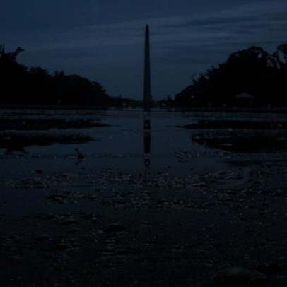 Não é fácil ser verde: piscina refletora de Trump vira metáfora de 2.028 pés