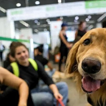 Famílias brasileiras gastam até R$ 690 por mês com pets